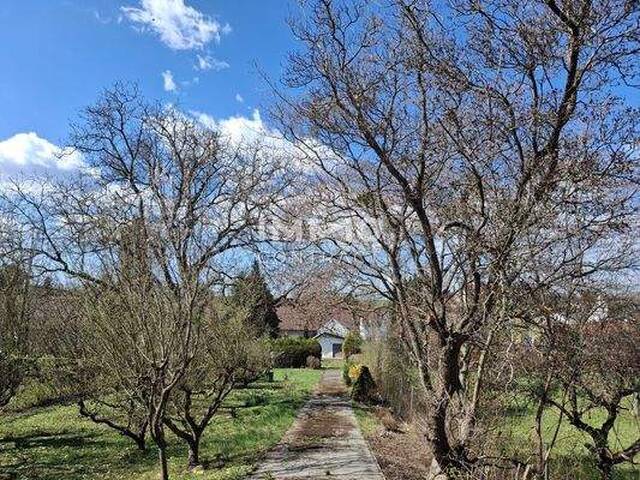 Immobilie in Oberschützen - Schönes Haus mit großem Garten und Erweiterungsmöglichkeiten - Bild 1