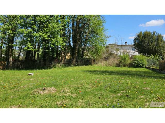 Immobilie in Rabenstein an der Pielach - leistbares Haus in perfekter Lage - Bild 4