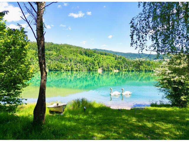 Immobilie in Feistritz im Rosental - Premium-Mehrgenerationenhaus mit 3 Wohnbereichen, Top-Zustand, Windhager-Pelletheizung, 2 Garagen, XXL-Carport, Arrondierungsoption & Stausee fußläufig - Bild 0