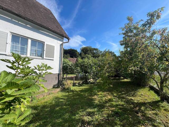 Immobilie in Feldbach - kleines, gepflegtes Wohnhaus mit Garten, Nähe Feldbach, Mühldorf - Bild 2