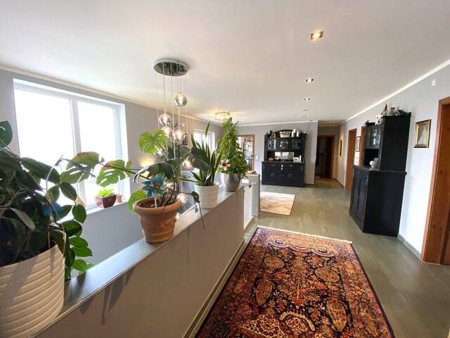 Immobilie in Prellenkirchen - Wohn- und Geschäftshaus mit großzügigem Grundstück und Entwicklungspotenzial! - Bild 1