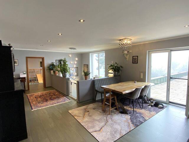 Immobilie in Prellenkirchen - Wohn- und Geschäftshaus mit großzügigem Grundstück und Entwicklungspotenzial! - Bild 2