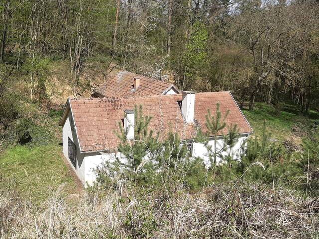 Immobilie in Gars am Kamp - NEUER PREIS! IDYLLISCHE ALLEINLAGE IM NATURSCHUTZGEBIET - Bild 0