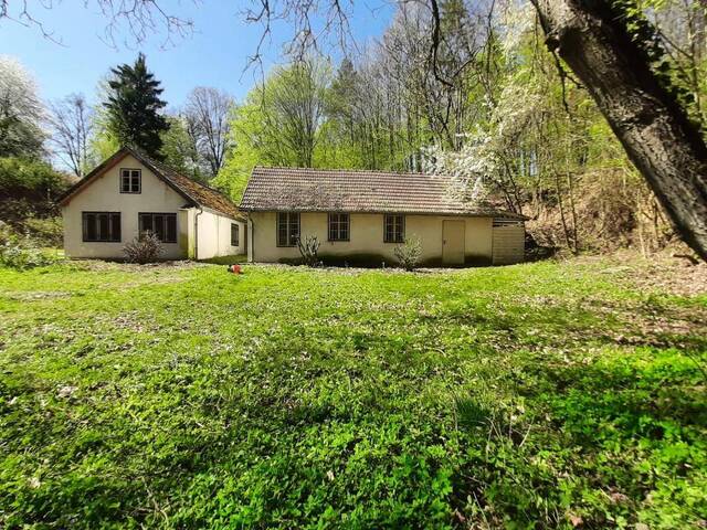 Immobilie in Gars am Kamp - NEUER PREIS! IDYLLISCHE ALLEINLAGE IM NATURSCHUTZGEBIET - Bild 1