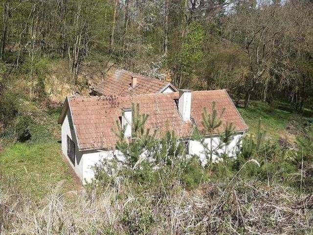 Immobilie in Gars am Kamp - NEUER PREIS! IDYLLISCHE ALLEINLAGE IM NATURSCHUTZGEBIET - Bild 0