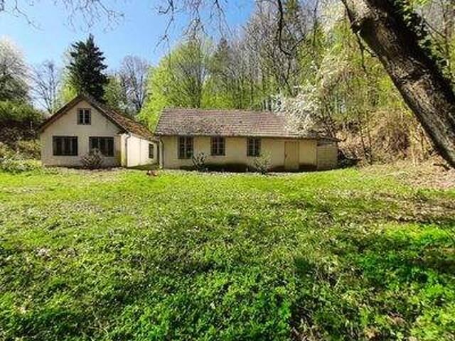 Immobilie in Gars am Kamp - NEUER PREIS! IDYLLISCHE ALLEINLAGE IM NATURSCHUTZGEBIET - Bild 1