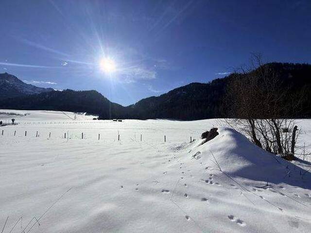 Immobilie in Waidring - WAIDRING - Neubau - Exklusives Landhauschalet in unvergleichlicher Panoramalage – Rohbau oder schlüsselfertig - Bild 4