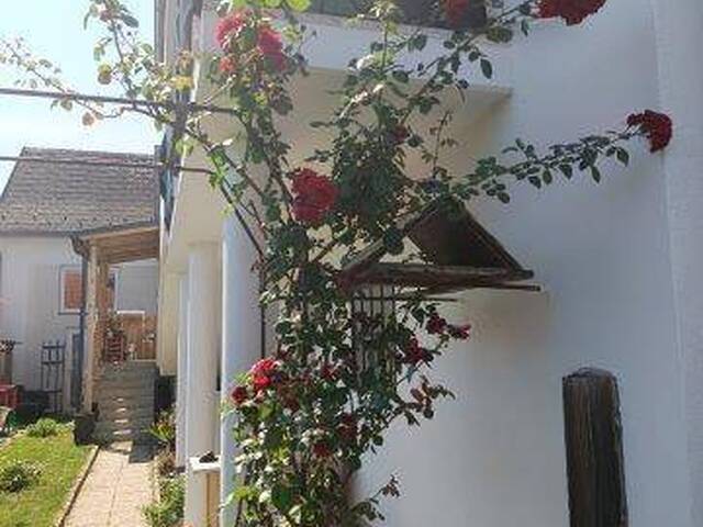 Immobilie in Steinberg - Interessanter Gebäudekomplex mit hochmoderner Haustechnik - Bild 3