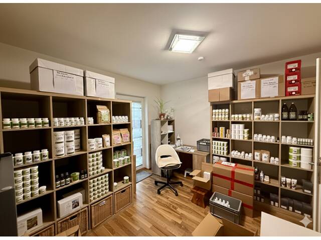 Immobilie in Mogersdorf - Exklusives Wohnensemble im sonnigen Südburgenland: Zwei Wohneinheiten auf über 3.500 m² Grund - Bild 4