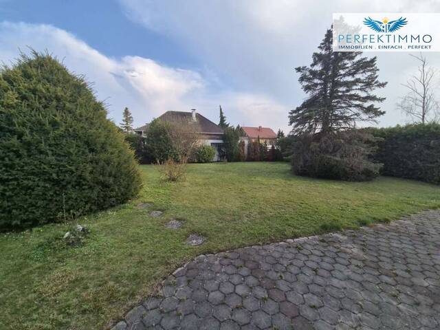 Immobilie in Tattendorf - Einfamilienhaus - Bungalow - Tattendorf - Bild 2