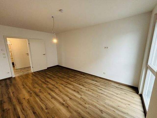 Immobilie in Kalsdorf bei Graz - 3 Zimmer, Garten & Terrasse - Erstbezug in Kalsdorf bei Graz - Bild 2