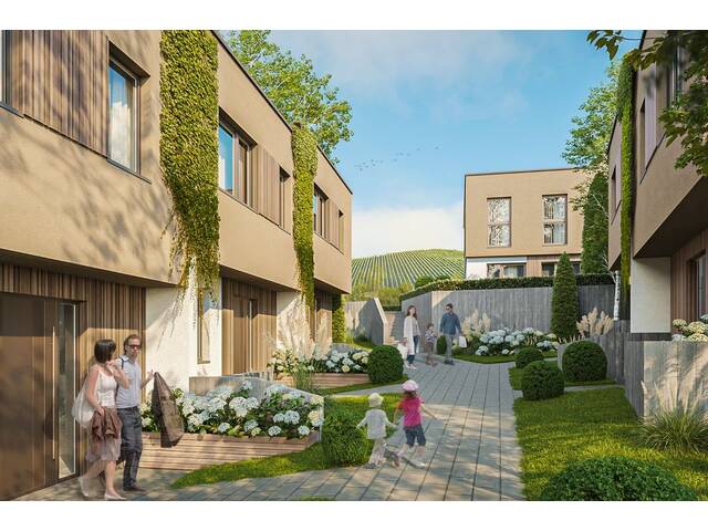 Immobilie in Rehberg - Neubau-Reihenhaus in Rehberg bei Krems | Terrasse & Garten | Wohnbauförderung möglich! - Bild 3