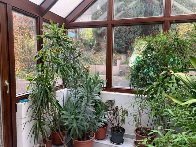 Immobilie in Bisamberg - Exklusives Reihenhaus in traumhafter Ruhelage in der Top Waldsiedlung von Bisamberg! - Bild 3