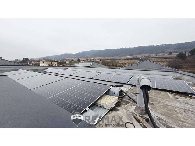 Immobilie in Nußdorf ob der Traisen - Ihr neues Zuhause in Reichersdorf – Doppelhaushälfte mit Pool & Traumgarten - Bild 3