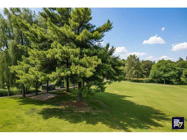 Immobilie in Tschurndorf - Großflächiges Wohnhaus in Entwicklung – Jetzt selbst mitgestalten! (Provisionsfrei) - Bild 3