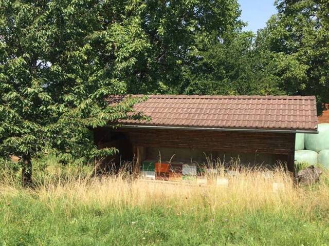 Immobilie in St. Margareten im Rosental - Sonniges Landhaus in ruhiger Randlage - Bild 1