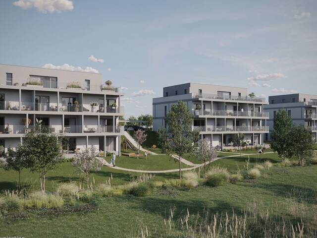 Immobilie in Wilhering - Terrassenwohnung Top A3 - Neubauprojekt am MÜHLBACH Wilhering - Bild 1