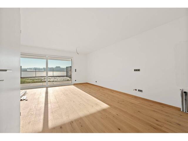 Immobilie in Forchtenau - Modernes Neubauprojekt in Forchtenau - Bild 0