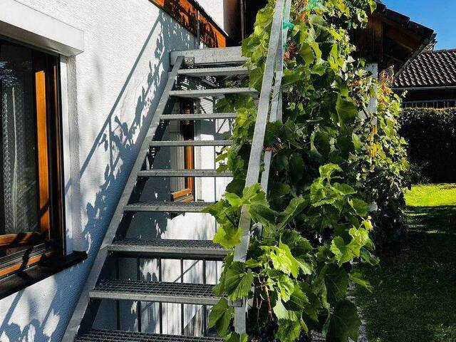 Immobilie in Rohrbach - Provisionsfreies Familienidyll in bester Rohrbacher Stadtrandlage - Bild 2