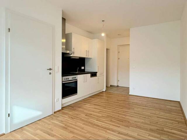 Immobilie in Kalsdorf bei Graz - Copacabana - Wohnen wo andere Urlaub machen - Bild 1