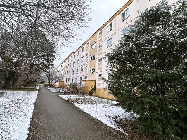Immobilie in Maria Enzersdorf - Charmante 5-Zimmer-Wohnung mit großzügigem Grundriss und Gestaltungspotenzial in Maria-Enzersdorf - Bild 1