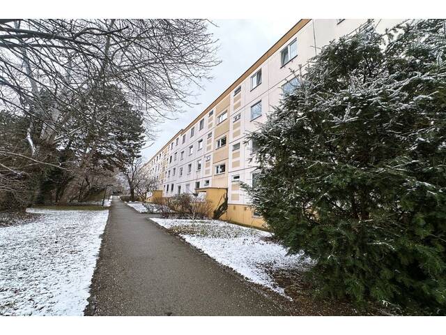 Immobilie in Maria Enzersdorf - Charmante 5-Zimmer-Wohnung mit großzügigem Grundriss und Gestaltungspotenzial in Maria-Enzersdorf - Bild 4