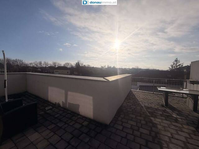 Immobilie in Himberg - 2325 Himberg Modernes Einfamilienhaus mit vielseitigen Nutzungsmöglichkeiten in ruhiger Vorstadtlage - Bild 4