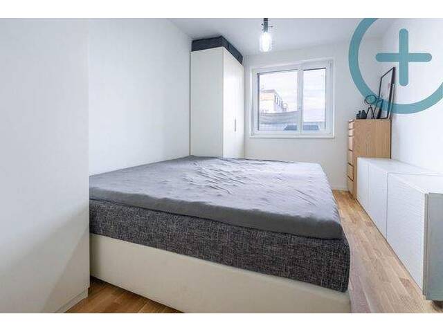 Immobilie in Wiener Neudorf - Einziehen und Wohlfühlen - 3 Zimmer Gartentraum - Bild 4