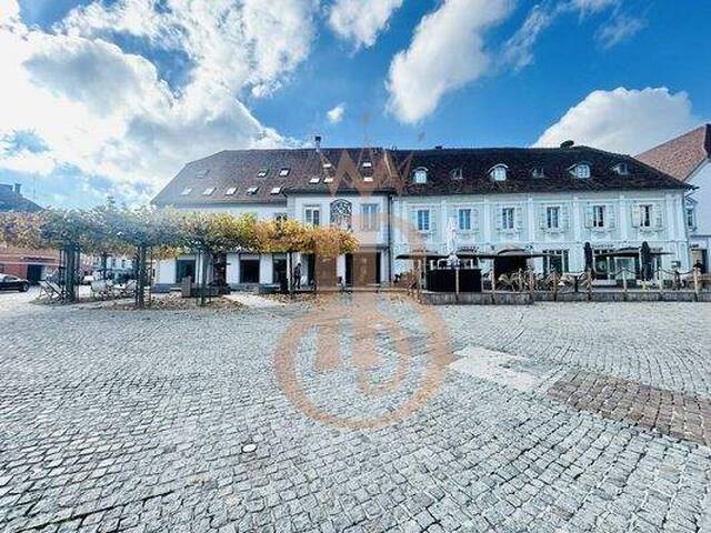 Immobilie in Hartberg - Wo Lage auf Wert trifft - Wohn- & Geschäftsflächen in Bestlage - Bild 3