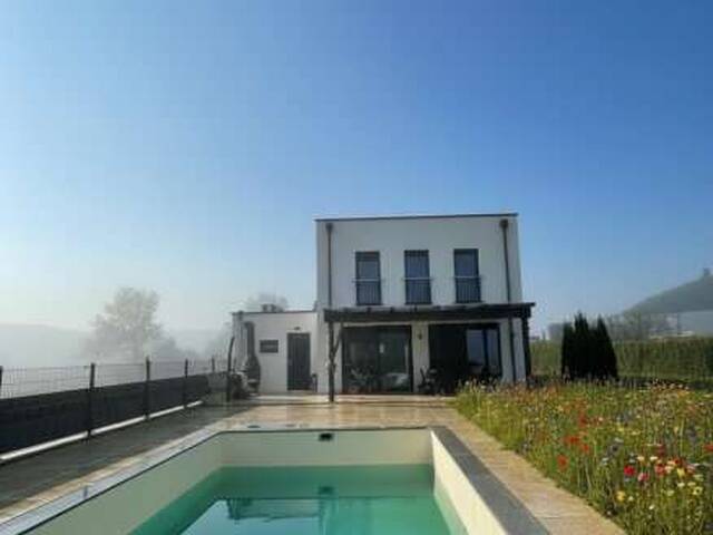 Immobilie in Oberschützen - Klarheit, die Raum gibt: Architektur in vollendeter Struktur - Kaufpreis inklusive offener Wohnbauförderung! - Bild 2