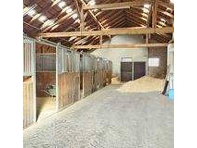 Immobilie in Feldkirchen bei Mattighofen - Exklusiver Gutshof mit Pferdegestüt in idyllischer Lage! - Bild 2