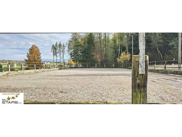 Immobilie in Feldkirchen bei Mattighofen - Exklusiver Gutshof mit Pferdegestüt in idyllischer Lage! - Bild 3