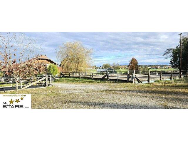 Immobilie in Feldkirchen bei Mattighofen - Exklusiver Gutshof mit Pferdegestüt in idyllischer Lage! - Bild 4