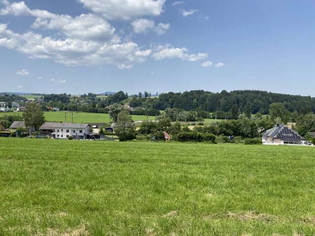 Immobilie in Vöcklamarkt - Einfamilienhausersatz- Eigenheim macht glücklich! Erstbezug in Vöcklamarkt - Haus B - Bild 0