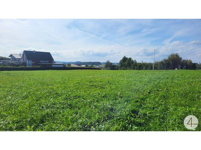 Immobilie in Diersbach - Barrierefreier Bungalow in ländlicher Lage - Bild 4