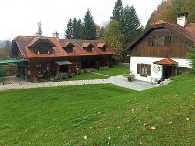 Immobilie in Hainfeld - Zwei Wohnhäuser in purer Naturidylle – viel Raum für Familie, Projekte und Privatsphäre - Bild 1