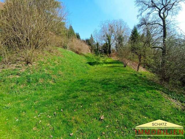 Immobilie in Hainfeld - Zwei Wohnhäuser in purer Naturidylle – viel Raum für Familie, Projekte und Privatsphäre - Bild 3