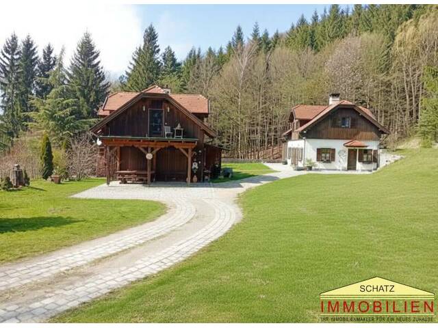 Immobilie in Hainfeld - Zwei Wohnhäuser in purer Naturidylle – viel Raum für Familie, Projekte und Privatsphäre - Bild 4