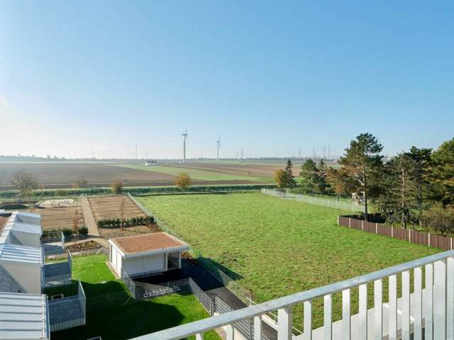 Immobilie in Kledering - sofort einziehen und ankommen! letzte 3 -Zimmer-DG Wohnung mit 2 Terrassen und eigenem Gartenabteil_T29_PROVISIONSFREI!_Kleegarten - Bild 2