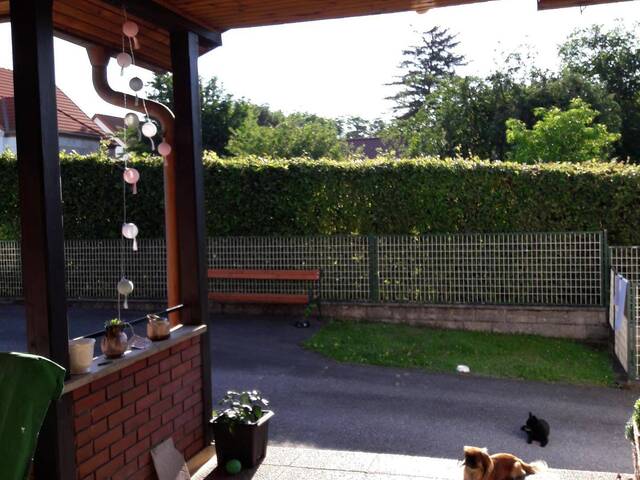 Immobilie in Hannersdorf - Haus zu verkaufen - Bild 4