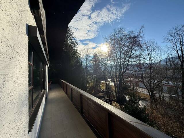 Immobilie in Puch bei Hallein - Natur & Infrastruktur: 800 m² Grund mit Familienhaus - Bild 4