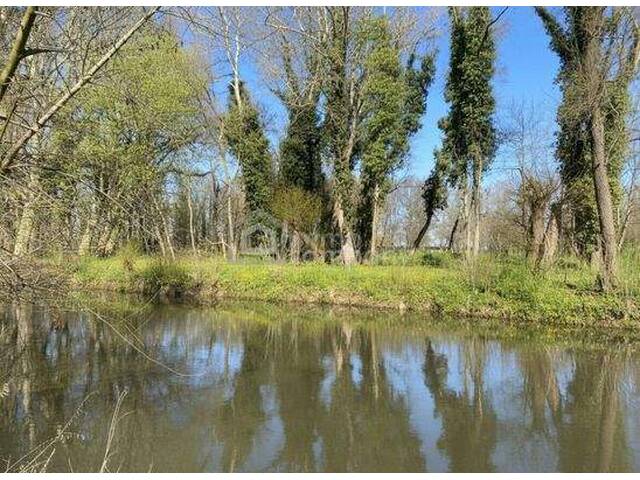 Immobilie in Gattendorf - Viel Raum im Paradies - Bild 2