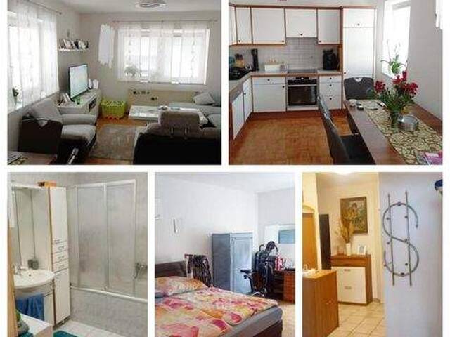 Immobilie in Steyr - Steyr - Schöne Wohnung in zentraler Lage - Bild 0