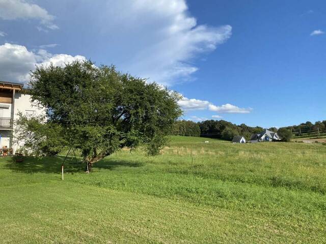 Immobilie in Markt Allhau - Schöner, barrierefreier Bungalow mit Grünblick - Bild 2