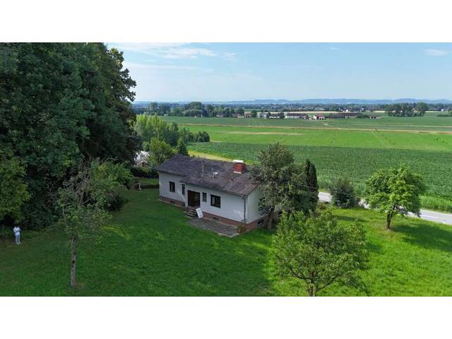 Immobilie in Feldkirchen an der Donau - Großzügiges Grundstück mit sehr gepflegtem Haus und vielen Möglichkeiten - Bild 4