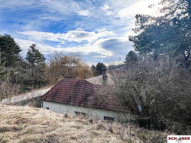 Immobilie in Enzesfeld-Lindabrunn - Traumgrund neben dem Wald mit sanierungsbedürftigem Althausbestand - Bild 3