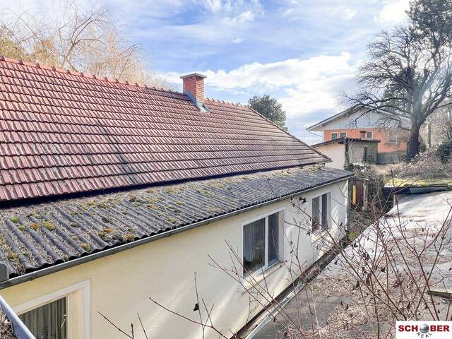 Immobilie in Enzesfeld-Lindabrunn - Traumgrund neben dem Wald mit sanierungsbedürftigem Althausbestand - Bild 4