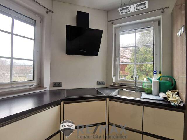 Immobilie in Niederhollabrunn - Licht. Raum. Unendliche Möglichkeiten. - Bild 4