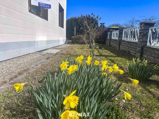 Immobilie in Vorchdorf - NEUER PREIS - Liegenschaft mit viel Raum für IHRE IDEEN - Bild 4