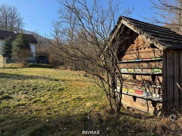 Immobilie in Pinsdorf - Natur pur - Bild 4